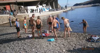 bain 1er janvier cerbere