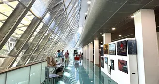 Hall Hall