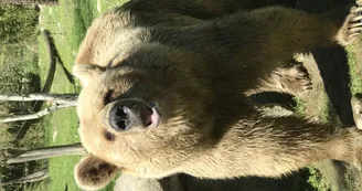 ours
