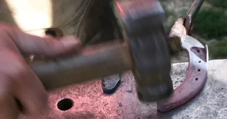 giteequisud3