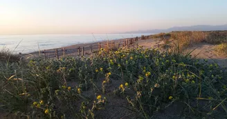 TORREILLES LOI PLAGE NORD