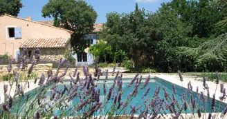 Piscine - Domaine du Coffre Piscine - Domaine du Coffre