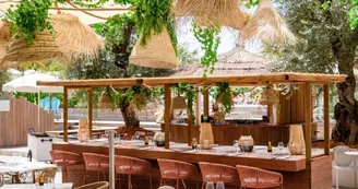 Palm's Pool Club