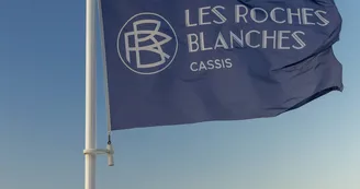 Hôtel Restaurant Les Roches Blanches