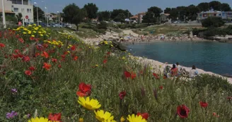 Plage de Carro_Martigues