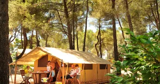 Les Pinèdes du Luberon Les Pinèdes du Luberon