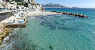 Plage du Prophète Marseille. jpg
