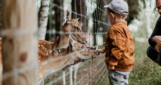 Parc Animalier - L'Arche de Méo_Mollégès