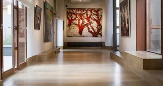 Musée Estrine Saint-Rémy-de-Provence_salle