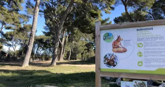 Parc aux écureuils