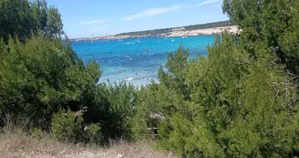 Plage de La Saulce_Martigues