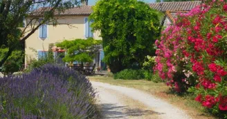 Au Mas de la Menouille