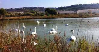 Vitrolles Tourisme Point Info Vitrolles Tourisme Point Info
