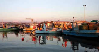 Port du Jaï