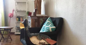 Le Fangassier