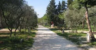 13T1000606_3_WEB.jpg