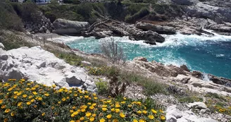 Calanque de Samena Marseille