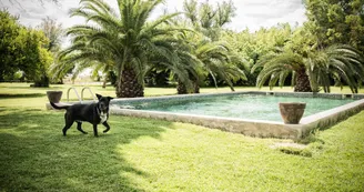 Jardin piscine