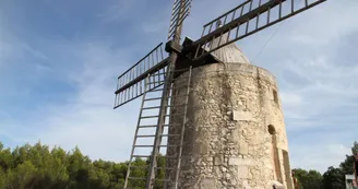 Moulin de Daudet