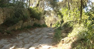 Sentier des moulins