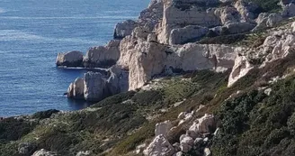 Site de plongée de l'Archipel du Frioul_Marseille Site de plongée de l'Archipel du Frioul_Marseille