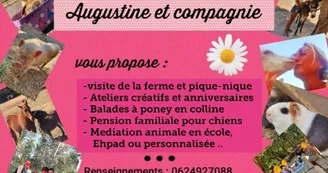 Augustine & Compagnie - Méditation animale