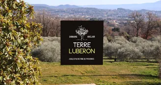 Chambres d’hôtes Terre Luberon