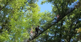 Le bois des lutins Le bois des lutins