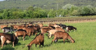 Ferme du Brégalon Ferme du Brégalon