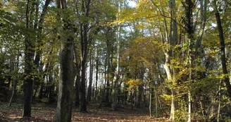 13SNA000054_2_HD.jpg