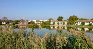 L'Estelle en Camargue