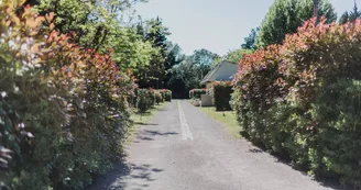 Camping Porte des Alpilles_Saint-Étienne-du-Grès