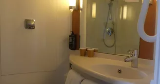 Ibis