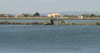 L'étang de Bolmon