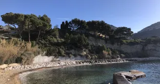 Anse du Corton_Cassis