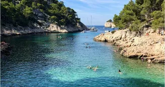 Calanque de Port Pin Marseille Calanque de Port Pin Marseille