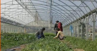 Ferme pédagogique du Roy d'Espagne_Marseille Ferme pédagogique du Roy d'Espagne_Marseille