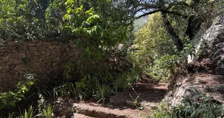 Mas de Monge_Tarascon