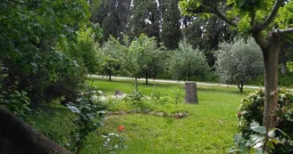 Rêve d'Emma