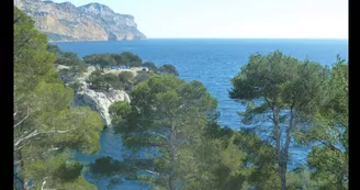 Calanque de Port Pin Marseille Calanque de Port Pin Marseille