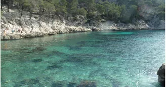Calanque de Port Pin Marseille Calanque de Port Pin Marseille