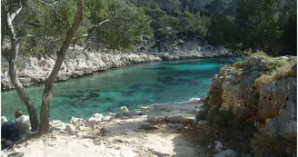 Calanque de Port Pin Marseille Calanque de Port Pin Marseille