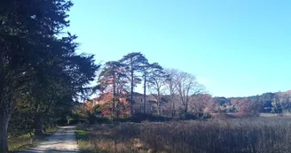 Domaine de Ribbe_Rognes