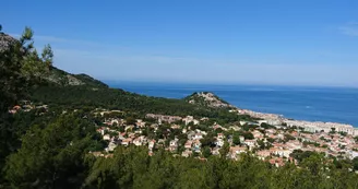 Pinède parc Pastré vue Mont Rose