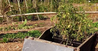 Atelier Permaculture Potager Atelier Permaculture Potager