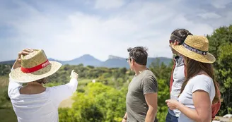 wine-tour-demi-journée-pic-saint-loup