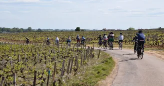Balade-oenologique-Cote-de-Nuits-Bourgogne-velovitamine