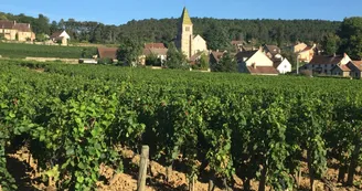 Fixin et ses vignobles