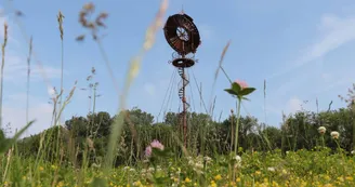 Parcours de santé Sens Parc Moulin-à-Tan