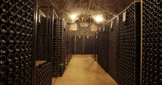 cave cave